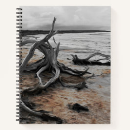 タイレル湖自然軍 ノートブック