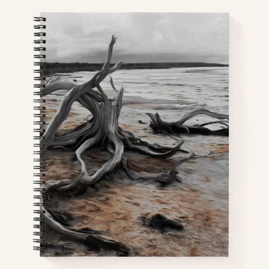 タイレル湖自然軍 ノートブック (正面)