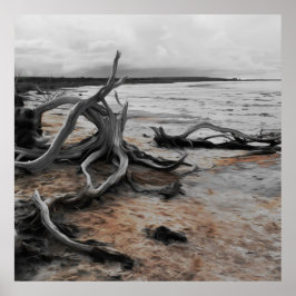 タイレル湖自然軍 ポスター