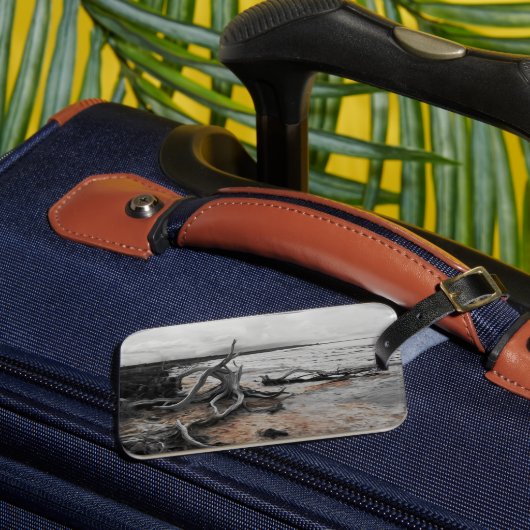 タイレル湖自然軍 ラゲッジタグ (正面インサイチュ3)