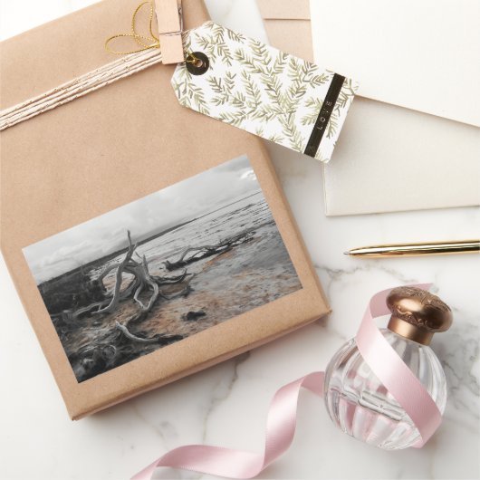 タイレル湖自然軍 長方形シール (ギフト)