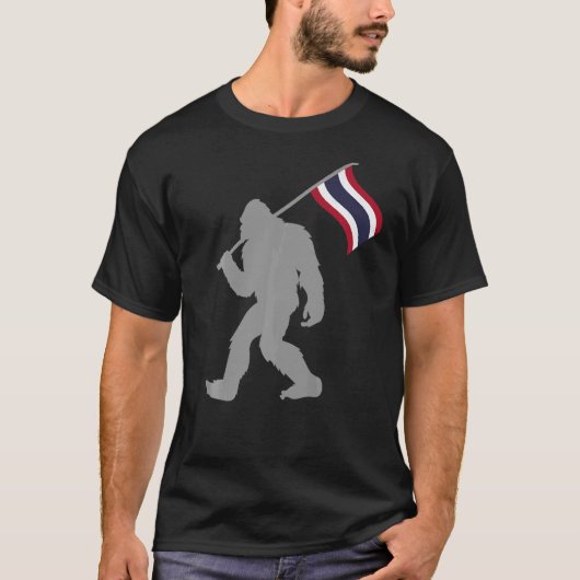 タイ国旗のタイまたはタイ国旗 Tシャツ (正面)