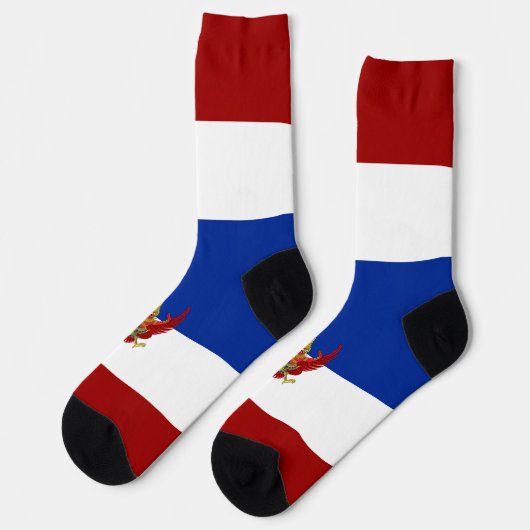 タイ国旗 ソックス (左)