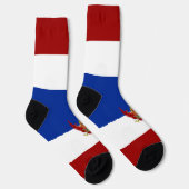 タイ国旗 ソックス (右)