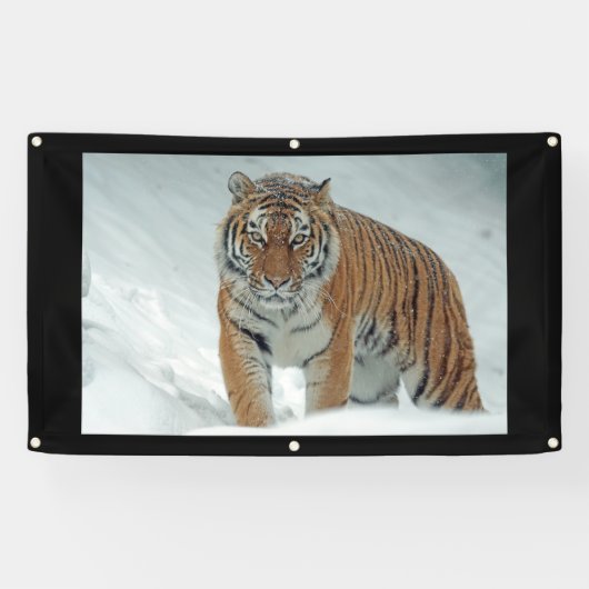 タイ怒ガーバナー 横断幕 (横)