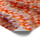 タイ海スターアカヒトデ ポスター (角)