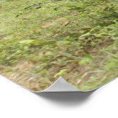 タイ海王室の兵隊はSを確保するために突進する ポスター (角)