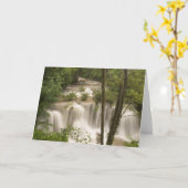 タイ淮前花林の滝 カード (黄色い花)