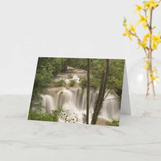 タイ淮前花林の滝 カード (黄色い花)