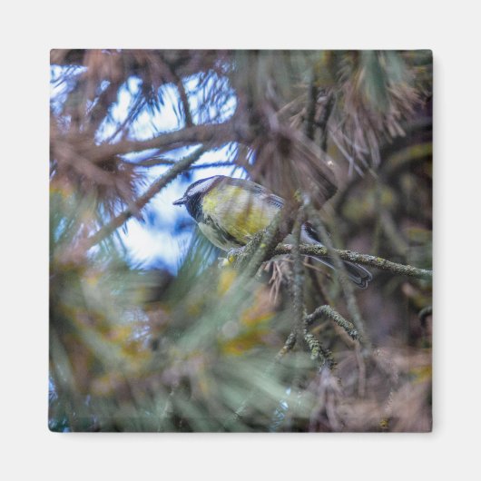 タイ素晴らしト(パ専攻のラス) マグネット (正面)