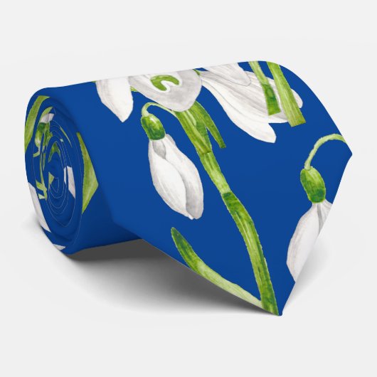 タイ自然春 ネクタイ (ロール)