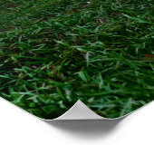 タイ象 ポスター (角)