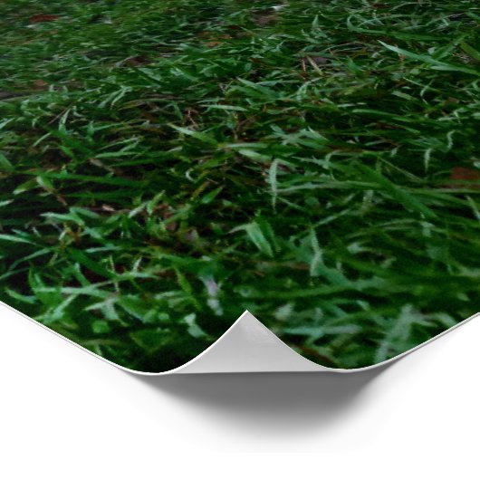 タイ象 ポスター (角)