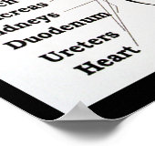 タイ足マッサージ～リフレクソロジーマップ ポスター (角)