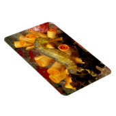 タイ、クローズアップSeahorse マグネット (右側)