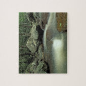 タイ、コサムイ島、熱帯雨林の風景。 ジグソーパズル (縦)