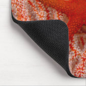 タイ，シースターアカヒトデ マウスパッド (コーナー)