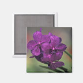 タイ、タイ北部、チェンマイ、メイの近く マグネット (正面/裏面)