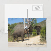 タイ・トライアングル・ドール ポストカード (正面/裏面)