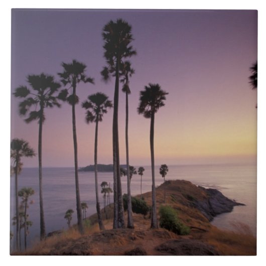 タイ、プーケット島。 タイル (正面)