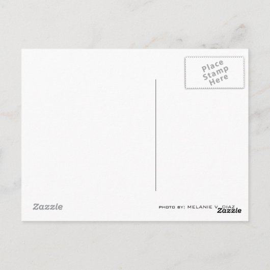 タイ ポストカード (裏面)