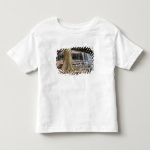 タイ・ミャンマー国境の滝 トドラーTシャツ