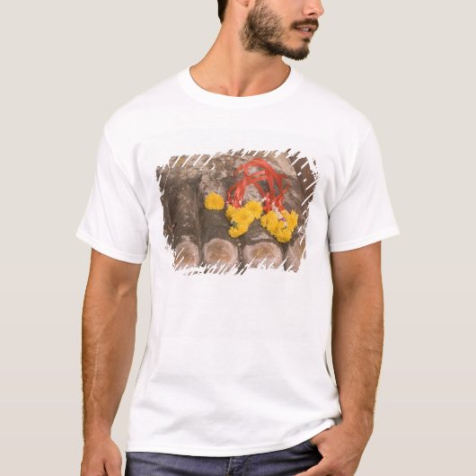 タイ、仏陀の足元とマリーゴールドの供物 Tシャツ (正面)