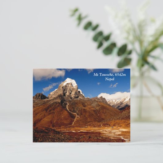 タウォシュ ポストカード (スタンド正面)