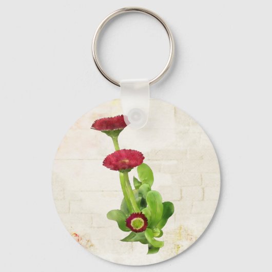 タウセンシェン キーホルダー (正面)