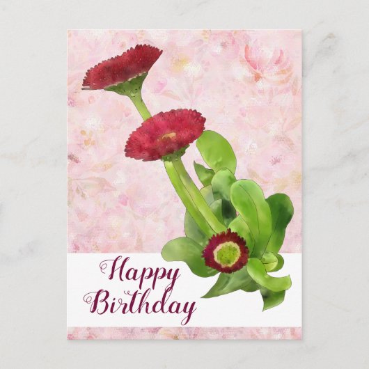 タウセンシェン ポストカード (正面)