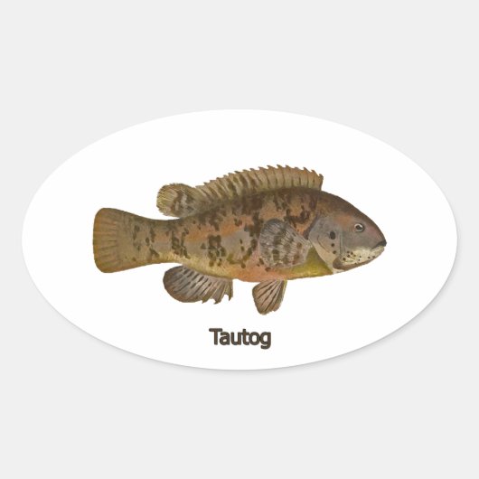 タウトグ 楕円形シール (正面)