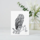 タウニーフクロウ空白の – 葉書 ポストカード (スタンド正面)