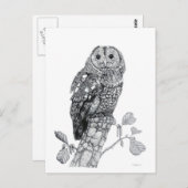 タウニーフクロウ空白の – 葉書 ポストカード (正面/裏面)