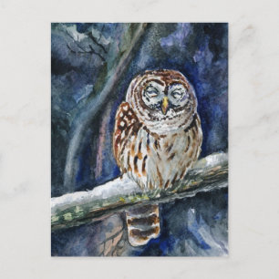 タウニーフクロウ絵画ウの水色 ポストカード