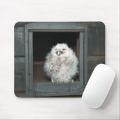 タウニーフクロウ マウスパッド (マウス)