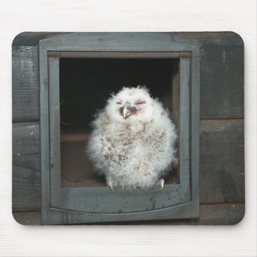 タウニーフクロウ マウスパッド (正面)