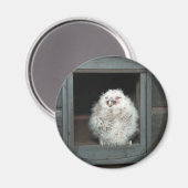 タウニーフクロウ マグネット (正面/裏面)