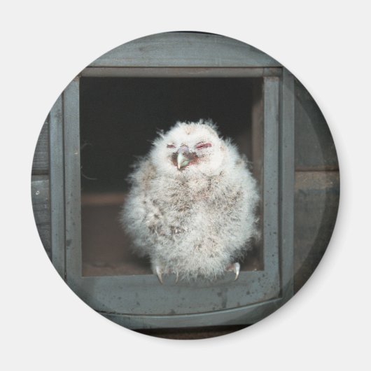 タウニーフクロウ マグネット (正面)