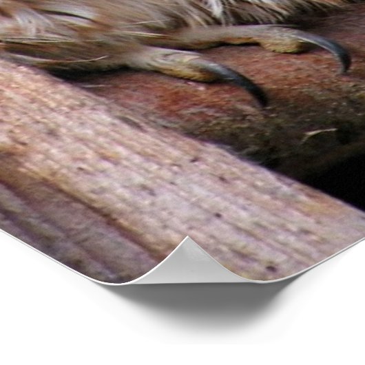 タウニーフル ポスター (角)