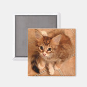 タウニー子猫 マグネット (正面/裏面)