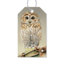 タウニー素晴らしフクロウ絵を描アートのクリスマスプレゼントラベル