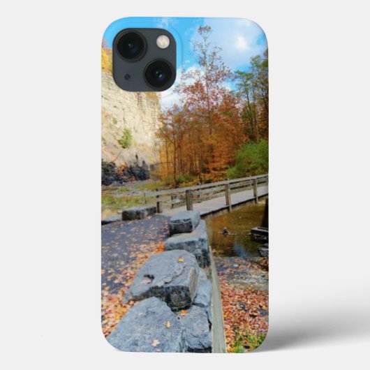 タウハノック滝州パーク Case-Mate iPhoneケース (裏面)