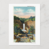 タウハノック滝# 2の表示 ポストカード (正面)