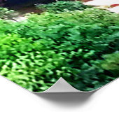 タウハノック秋ITHACAポスター ポスター (角)