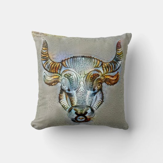 タウラスベニス クッション (正面)