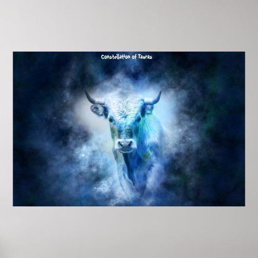 タウラス座 ポスター (正面)