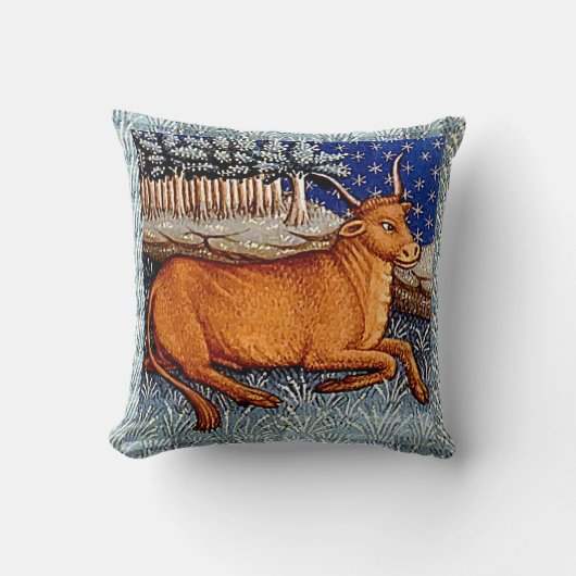 タウルスザブル〔占星術の〕十二宮図サインバースデーパーティー クッション (正面)