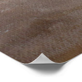 タウルス ポスター (角)