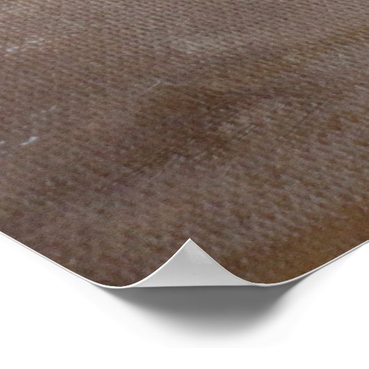 タウルス ポスター (角)