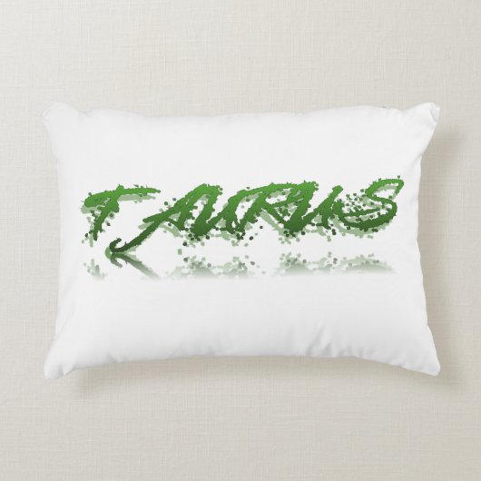 タウロス反射 アクセントクッション (正面)